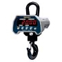 CAS Corp Caston II Crane Scale